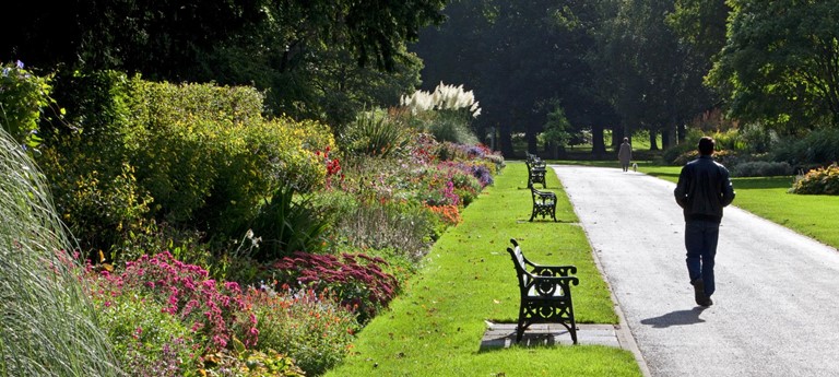 Bute Park and Arboretum