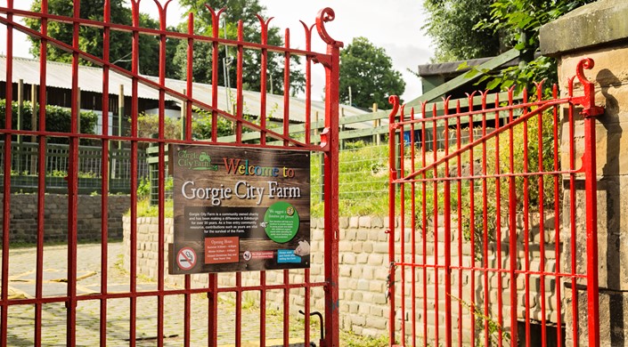 Gorgie City Farm