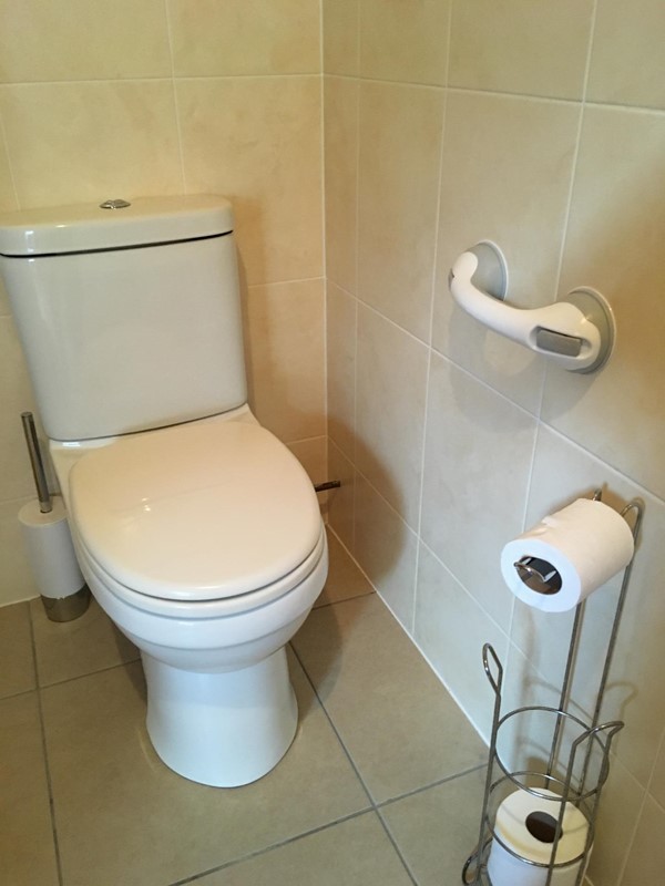 Toilet, with grab rail attached