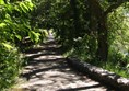 Photo of a wooded path.