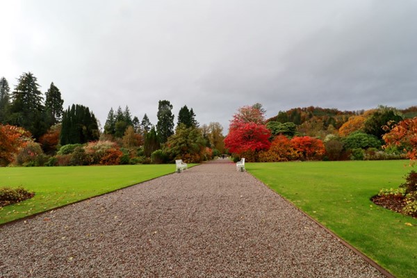 Gravel path going down the centre of the garden. The trees are vibrant reds and oranges as it is autumn.