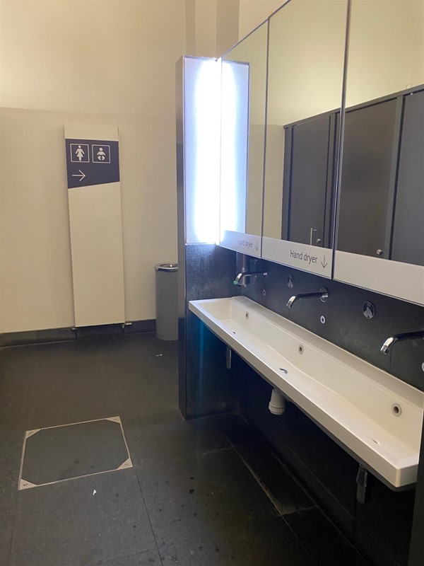 lady's toilet washing area