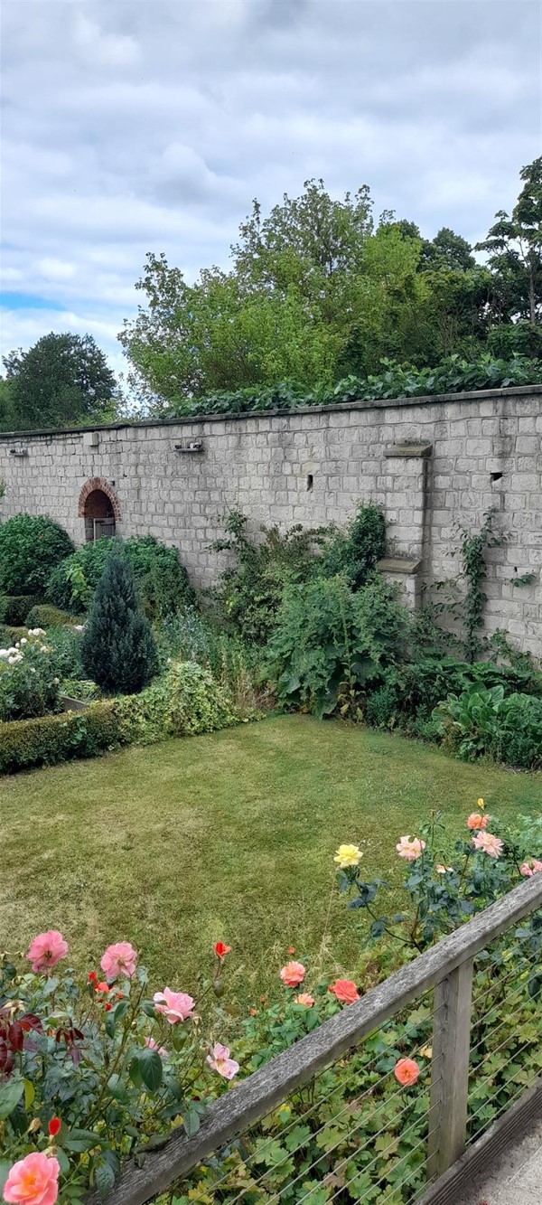 Image of a garden