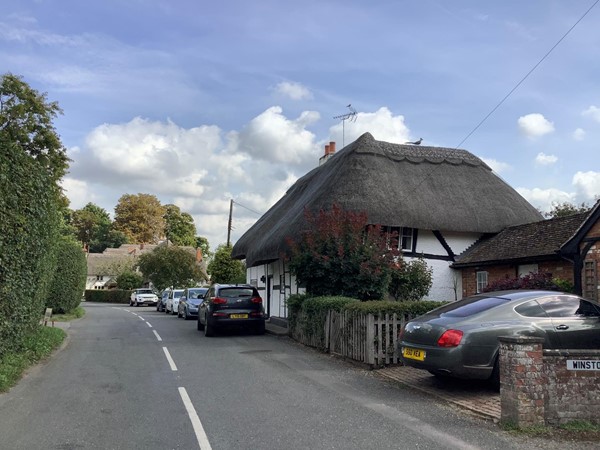 A thatched house