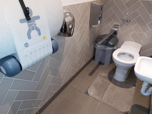 Image of a toilet with grabrails