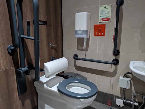Image of toilet seat in accessible toilet