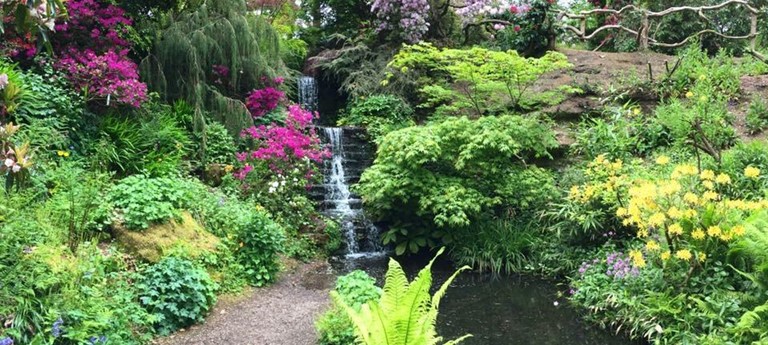 The Dorothy Clive Garden