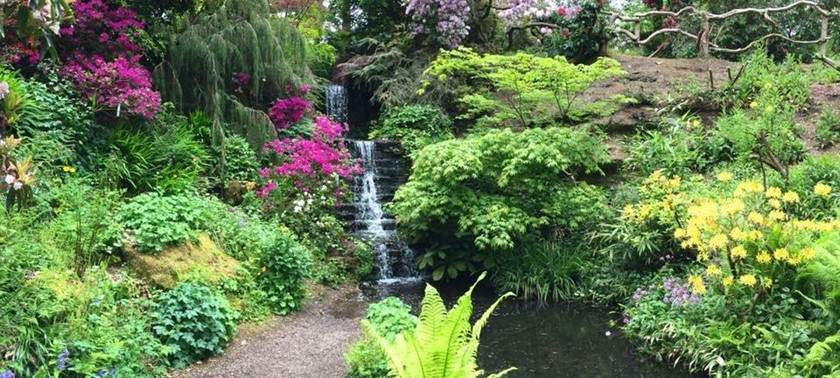 The Dorothy Clive Garden