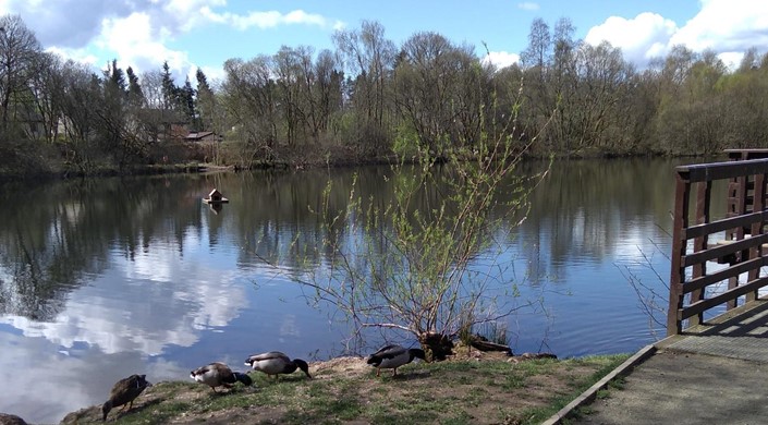 Doune Ponds