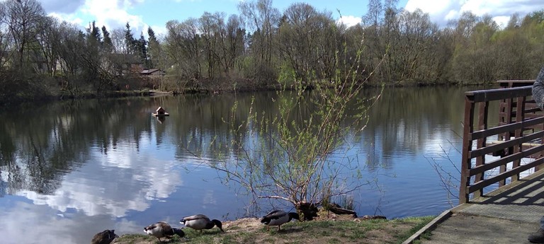 Doune Ponds