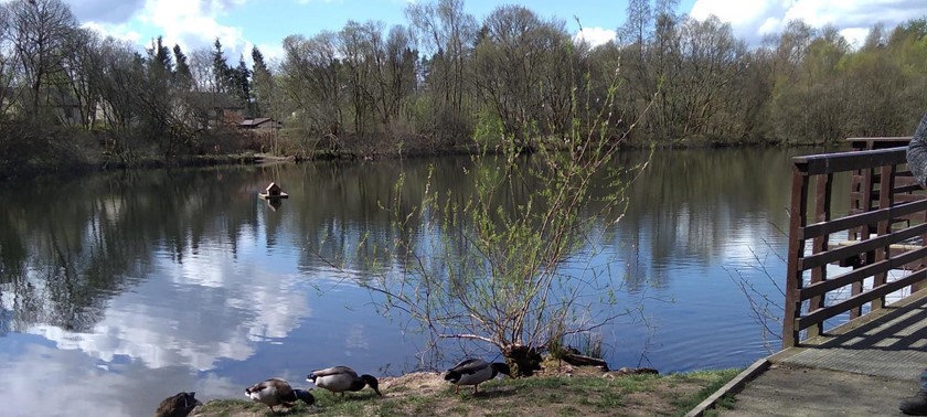 Doune Ponds