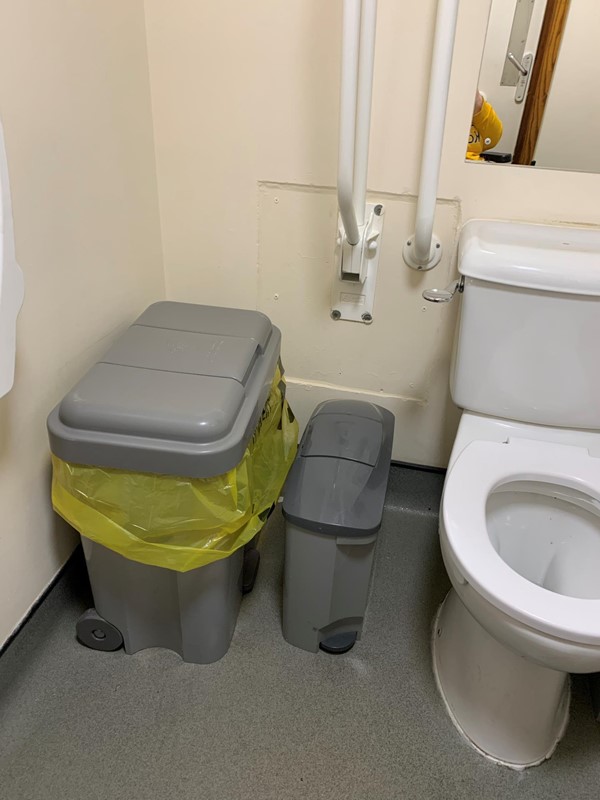 View of left hand side of bathroom showing two handrails and bins