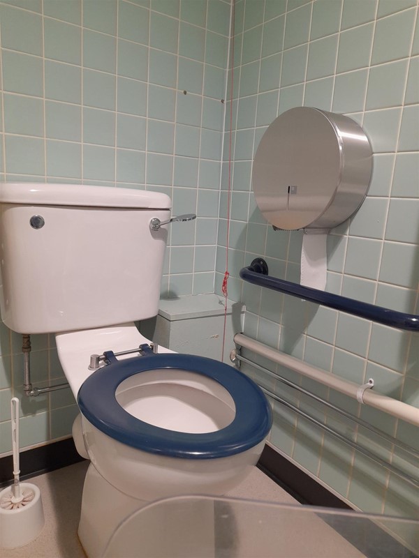 3 handrails by the toilet