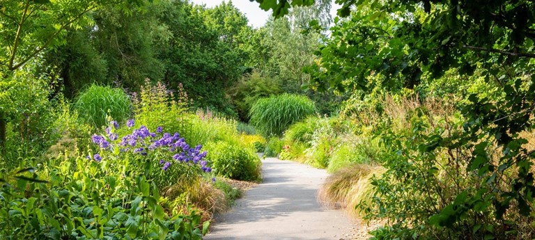 Birmingham Botanical Gardens