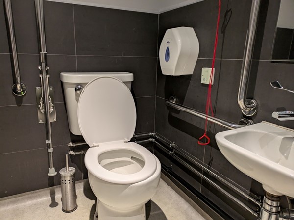 image of accessible toilet