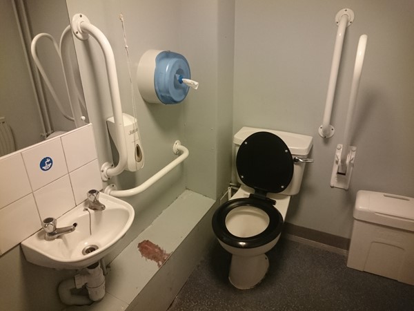 Picture of Potterow - Accessible Toilet