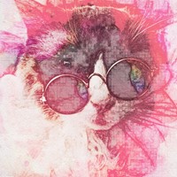 Profile image for gingertabby