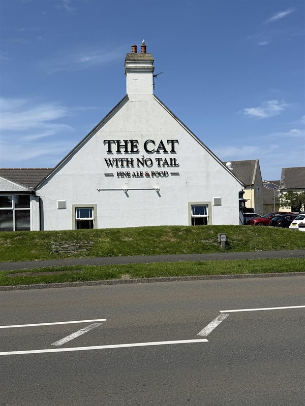 Image of The Cat with No Tail exterior