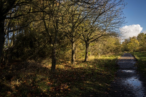 This shows the small step up to some of the boardwalks