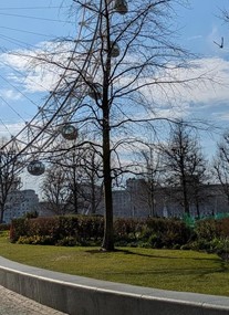 Jubilee Gardens