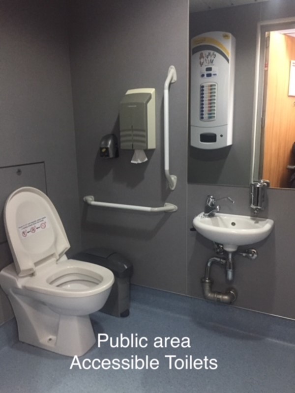 Public area accessible toilets