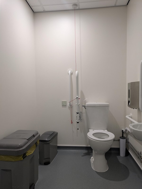 Image of accessible toilet with bins in the transfer space
