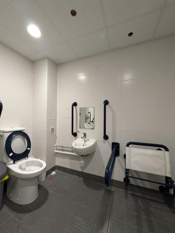 Image of the accessible toilet