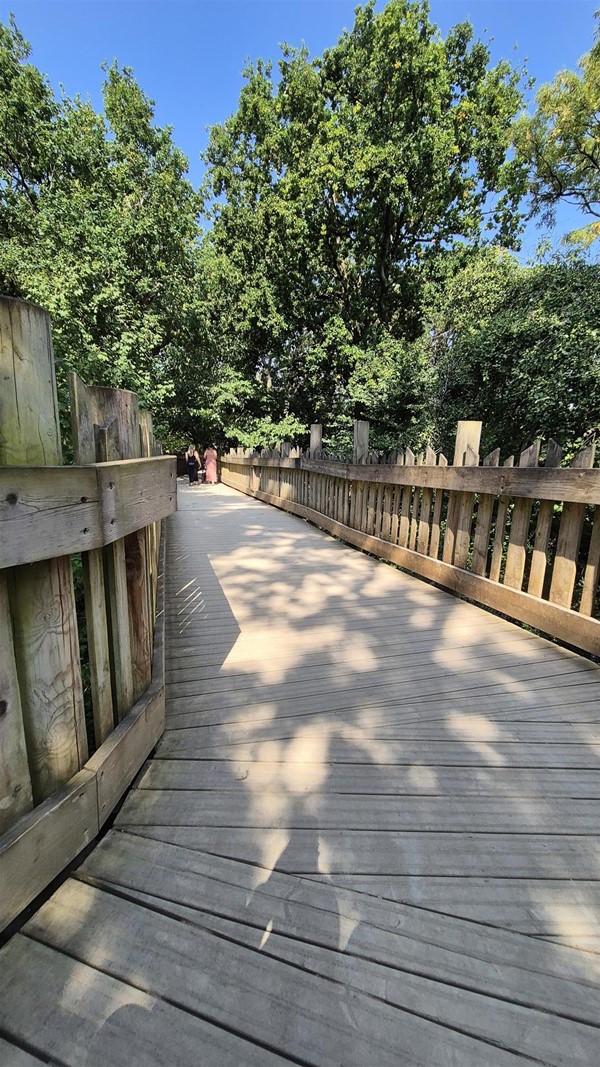 Image of a wooden decked area