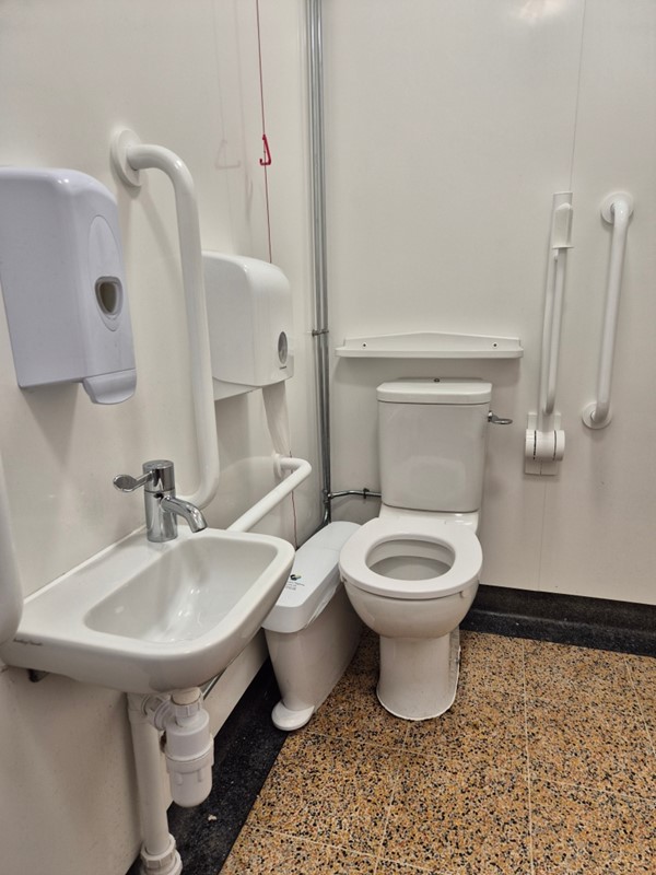 Image of a toilet with a grab rail and a sink
