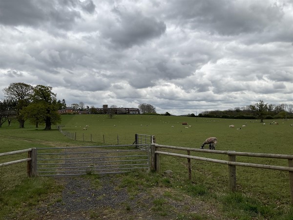 Image of a field