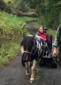 Pony Access at Largs Beach