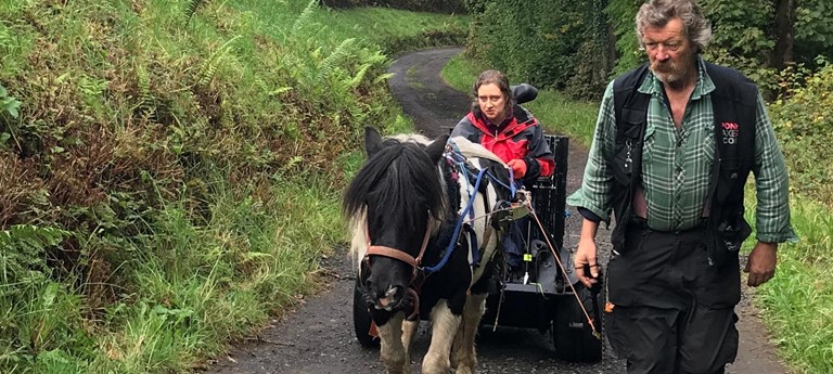 Pony Access at Largs Beach