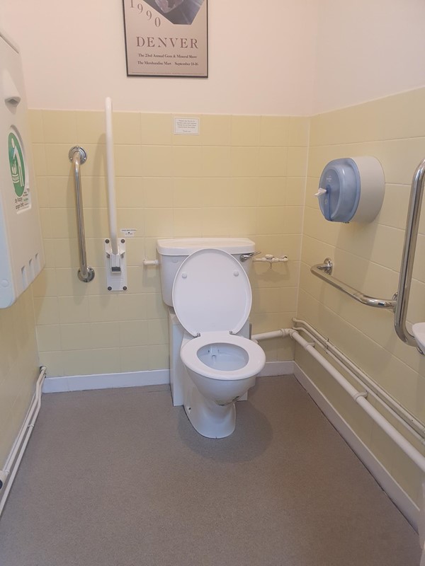 Accessible toilet