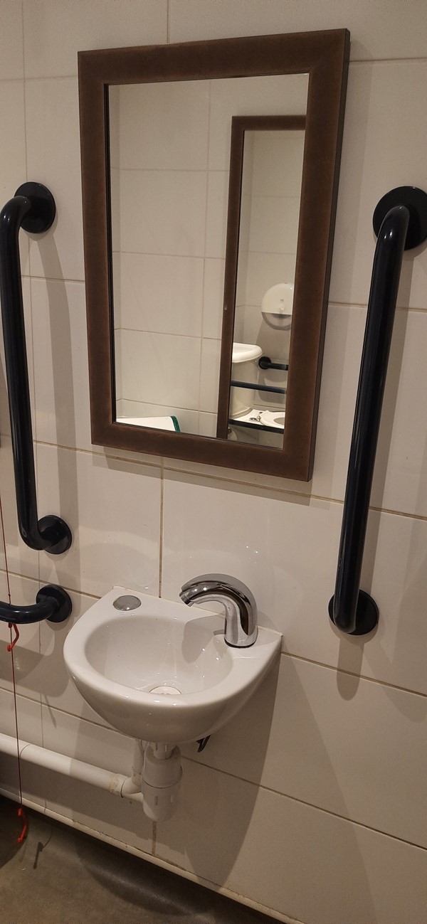 Picture of grab rails either side of a sink
