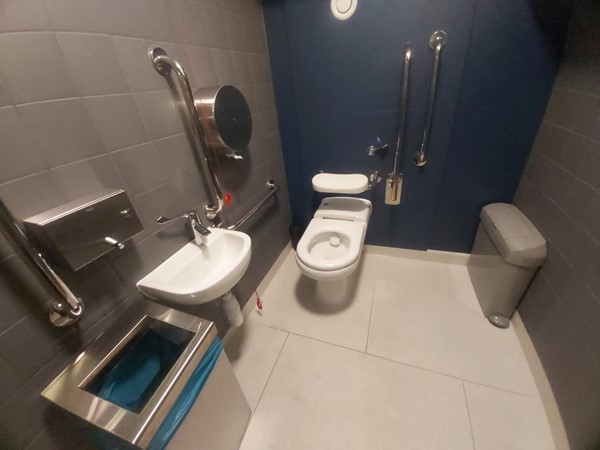 Image of an accessible toilet