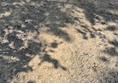 Image of ground and gravel.