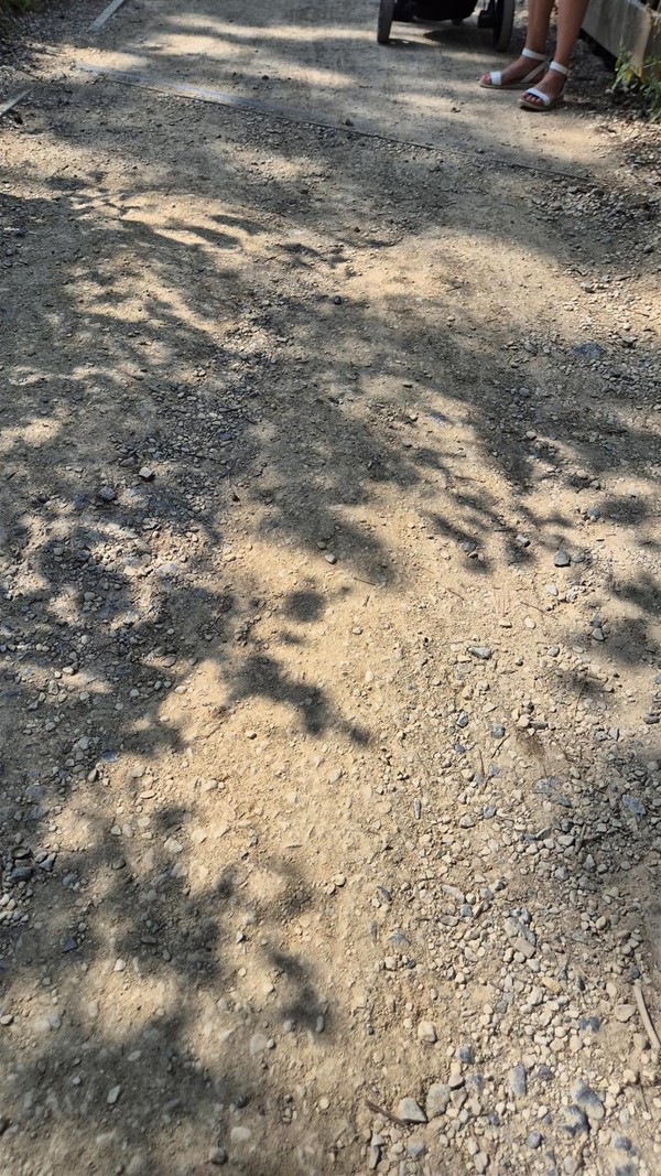 Image of ground and gravel.