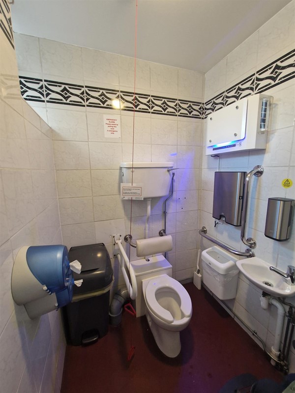 Inside the accessible toilet. A sanitary bin is positioned right next to the toilet, which could make wheelchair transfers difficult. A small sink and paper towel dispenser are visible on the right, with a wall-mounted grab rail.