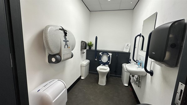 Image of an accessible toilet.