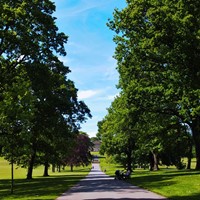 Favorite accessible place - Roundhay park