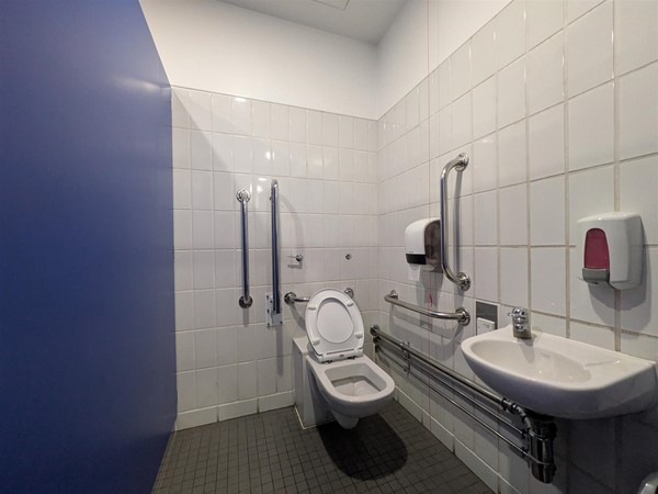Image of accessible toilet in a cubicle