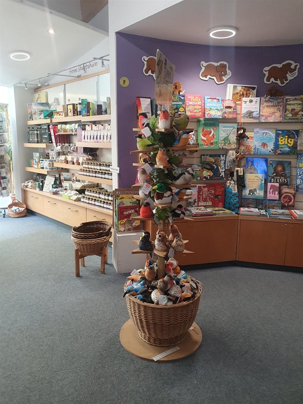 gift shop area near entrance
