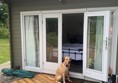 Dog outside patio doors
