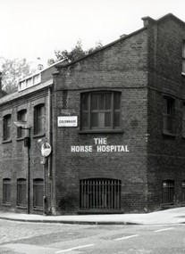 The Horse Hospital