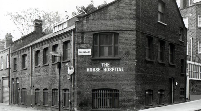 The Horse Hospital