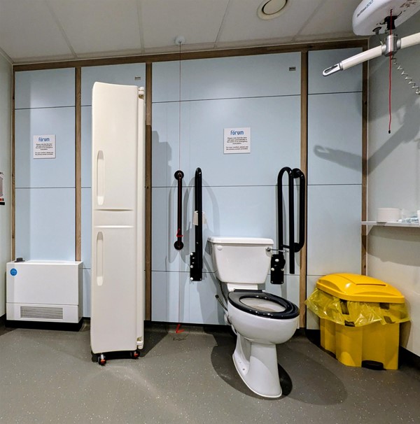 Image of ceiling hoist, toilet and privacy screen