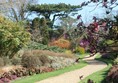 A photo of a path in the gardens