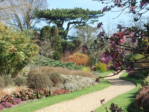 A photo of a path in the gardens