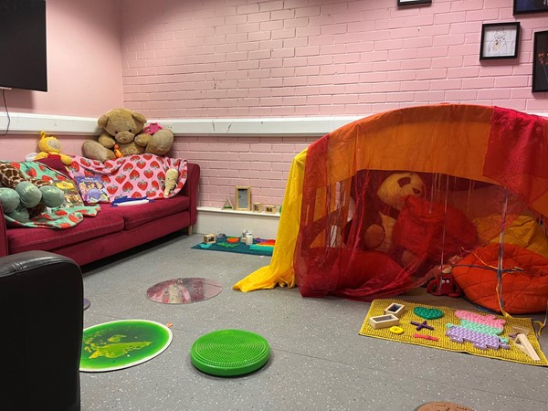 Image of the sensory area.