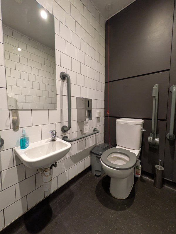 Image of accessible toilet with small sink and toilet with a grey seat, both have grabrails